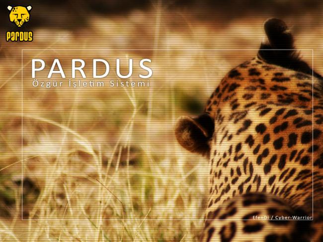 Pardus_by_E_Dsgn