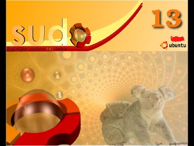 sudo13 sudo13