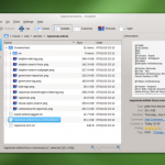dolphin-metadata
